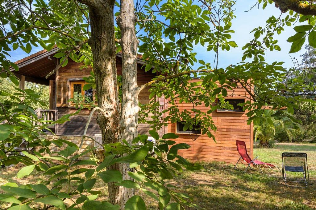 Vue à travers les arbres